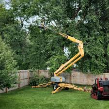 Best Lawn Renovation and Restoration  in Rancho Palos Verdes, CA